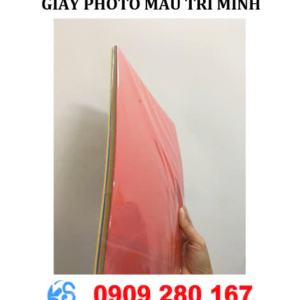 Giấy Photo màu Trí Minh